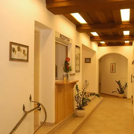 Weingut-pension Stockingerhof Pensión 3*