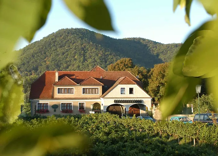 Weingut-pension Stockingerhof Gæstehus Dürnstein
