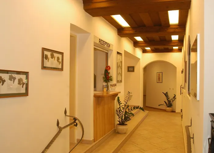 Weingut-pension Stockingerhof Gæstehus 3*